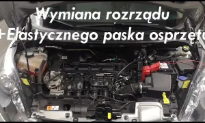 Jak często wymieniać rozrząd w Fordzie Fiesta 1.4 benzyna i ile to kosztuje?
