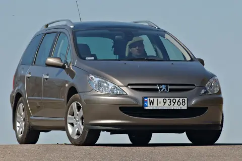 Jaki akumulator do peugeota 307 1.6 benzyna - nie popełnij błędu przy wyborze